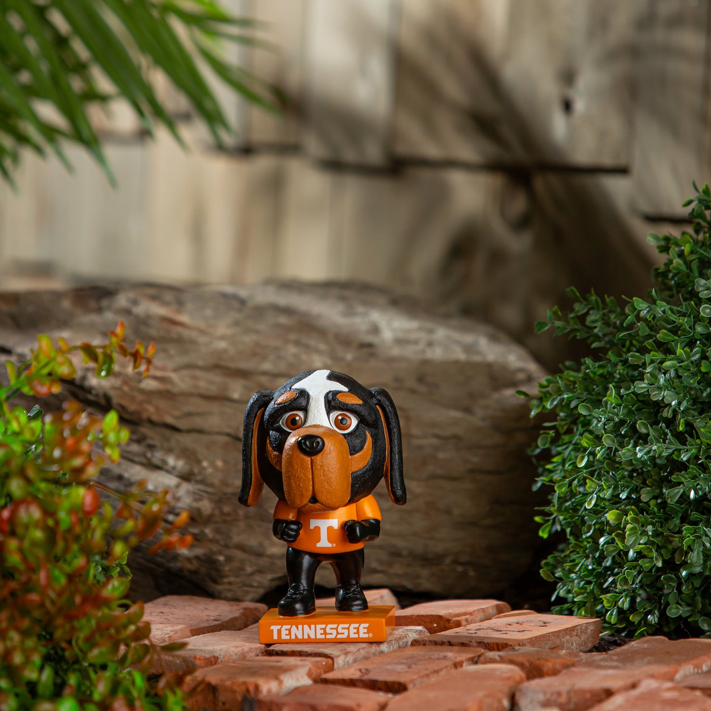 Tennessee Volunteers - Lil Big Head Statue, Mascot - J&W Sports Apparel