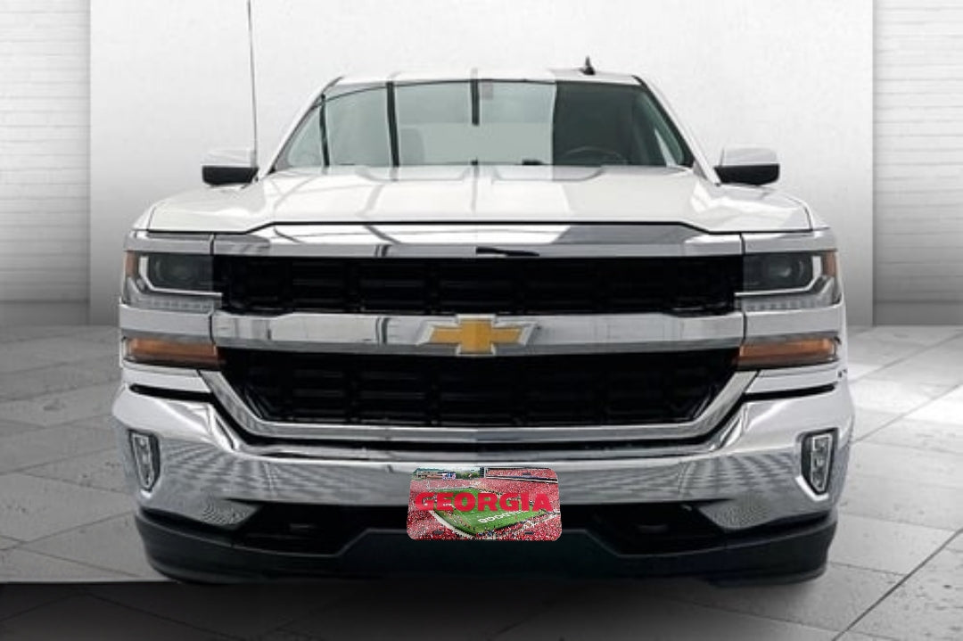 GEORGIA BULLDOGS SPECIALTY ACRYLIC LICENSE PLATE- SANFORD STADIUM