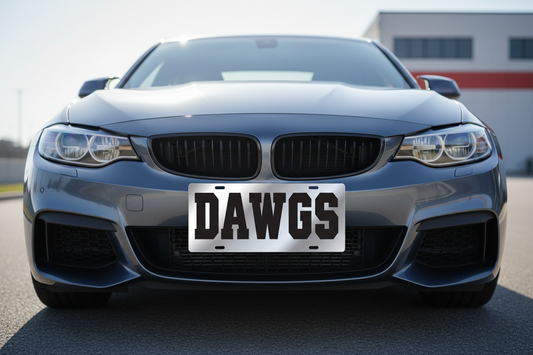 GEORGIA BULLDOGS  Silver "DAWGS" Mirrored License Plate  Car Tag