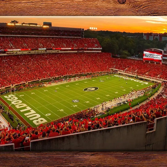 Georgia Bulldogs Sanford Stadium Redout Fridge Magnet - Uga Gifts & Tailgating