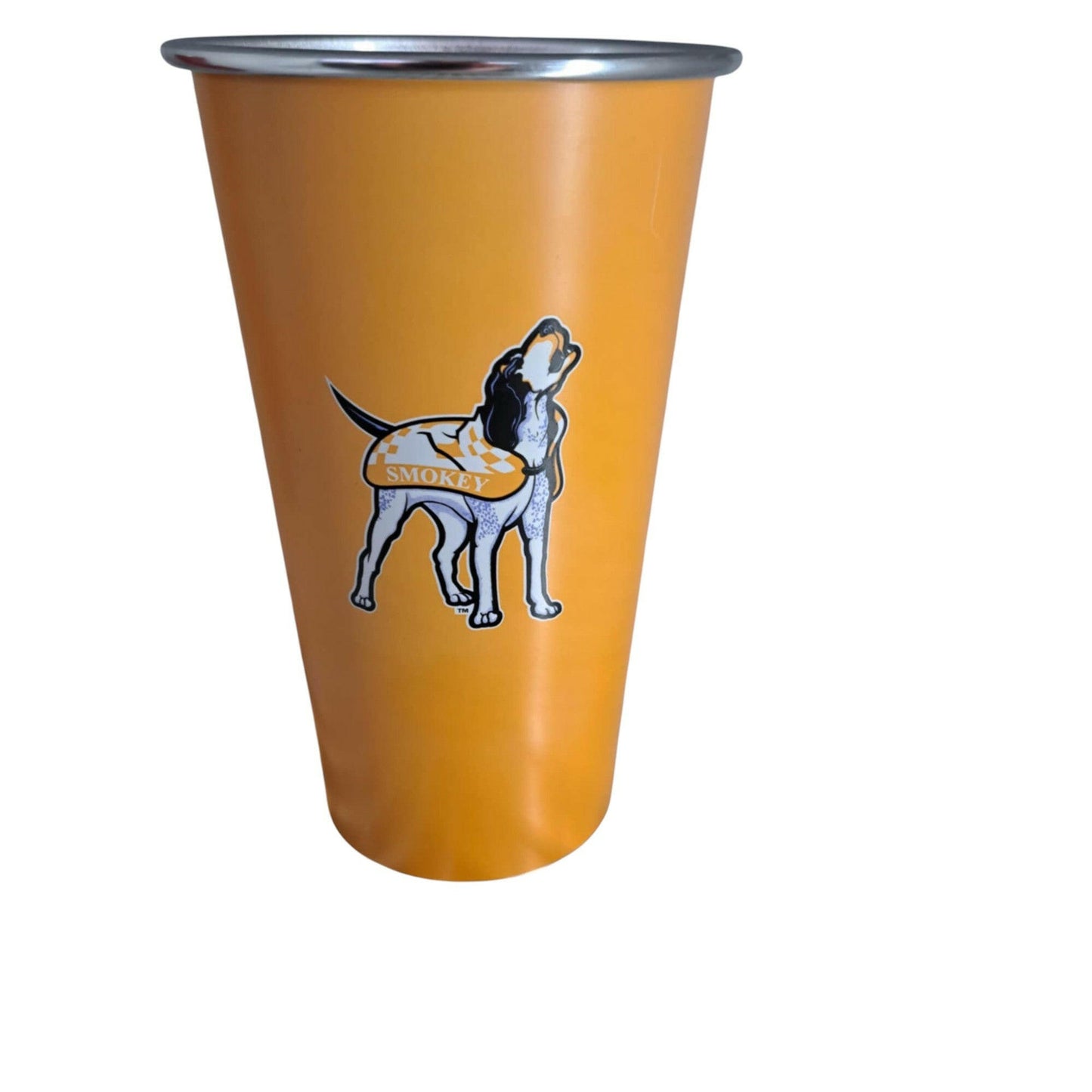 Tennessee Volunteers Changing Colors 20oz cup - J&W Sports Apparel