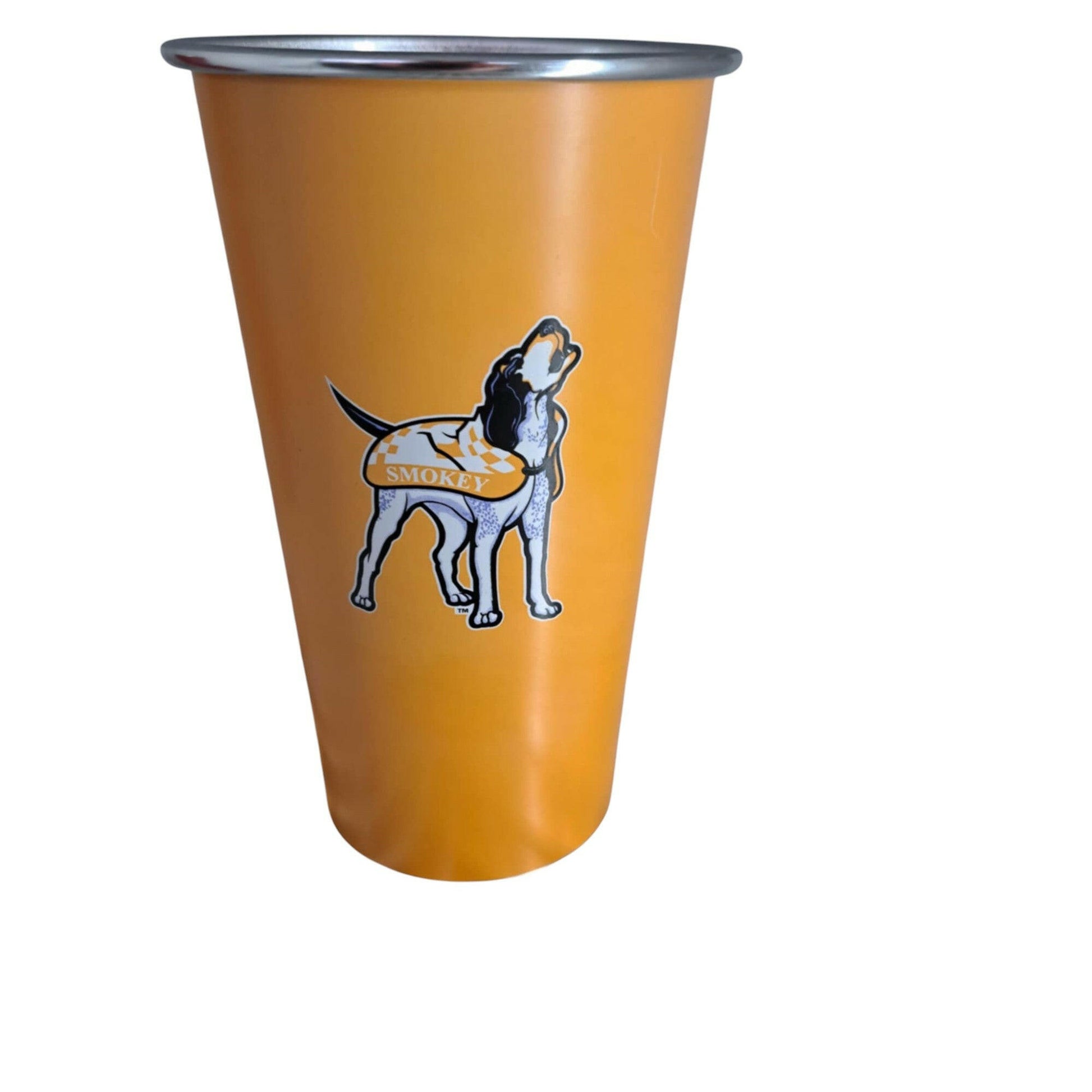 Tennessee Volunteers Changing Colors 20oz cup - J&W Sports Apparel