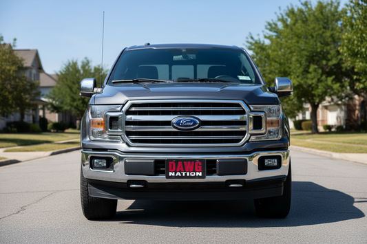 GEORGIA BULLDOGS SPECIALTY ACRYLIC LICENSE PLATE- DAWG NATION